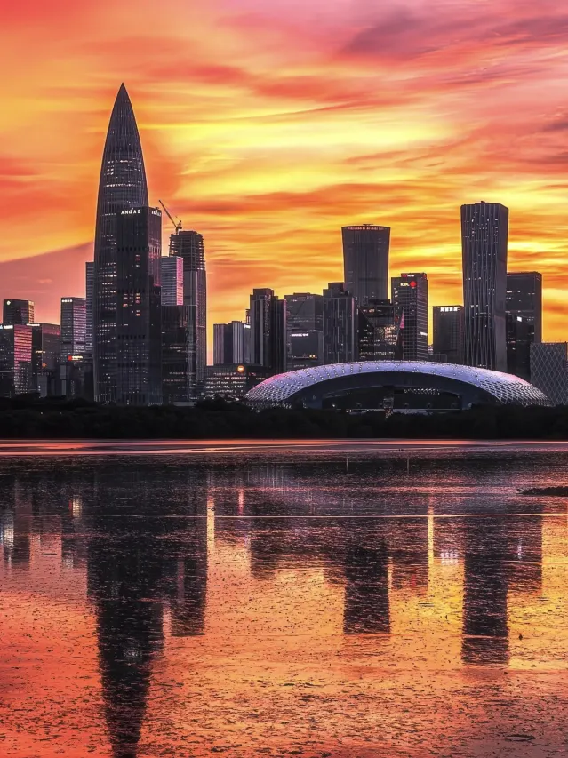 深圳茉诗雅居酒店 (14)