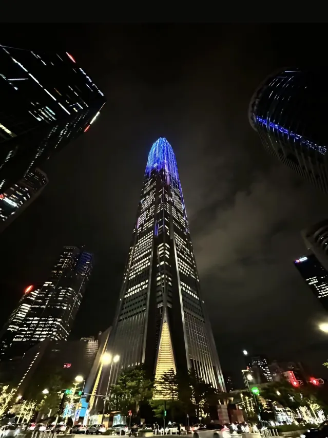 深圳茉诗雅居酒店 (5)