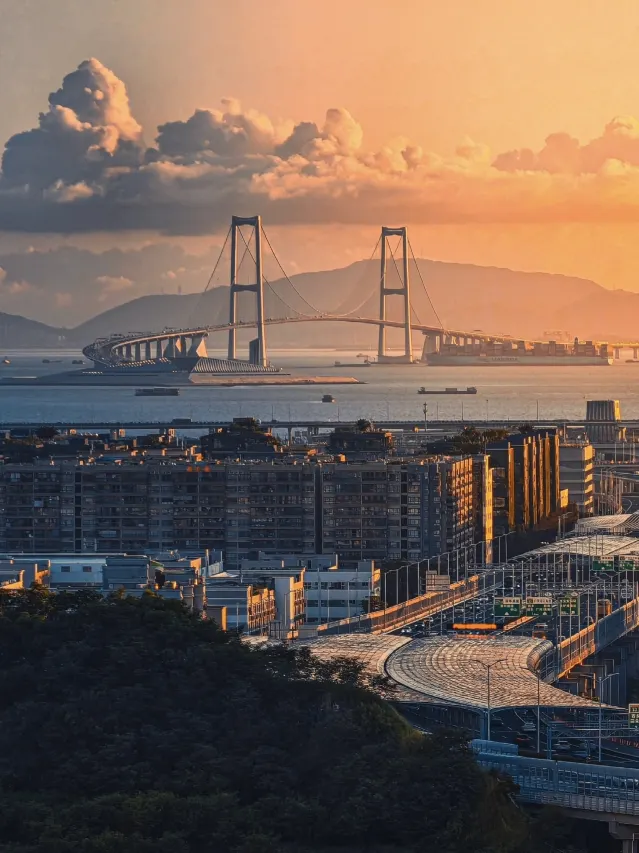 深圳茉诗雅居酒店 (7)